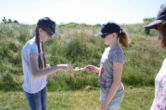 img_8910_ebbb7ba556