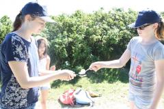 img_8913_5ac4ae6e38