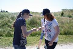 img_8916_19db92bf47