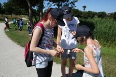 img_8925_8c53c4b4ec