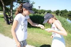 img_8929_dfaac24f1b