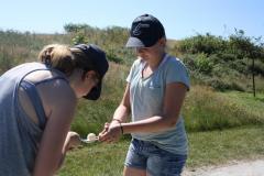 img_8994_01c2fadd61