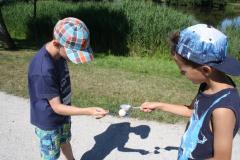 img_9010_e85e67cd78