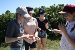 img_9019_6bfaff8672