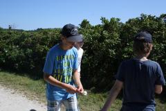 img_9038_860fe28a3b