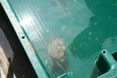 img_6409_e672d3ccfe