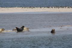 img_9276_812e02812e