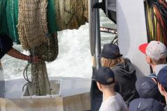 img_9352_4498162267