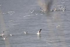 img_9377_05728cd06c