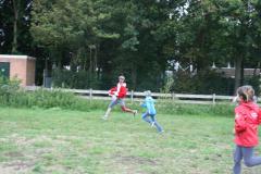 img_4437_cb8e2892bf