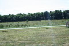 img_3010_7e83fe5294