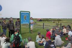 img_4162_c246671b07