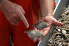 k1024_img__64a4cc6f28