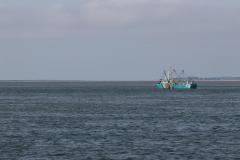 k1024_img__877696e353