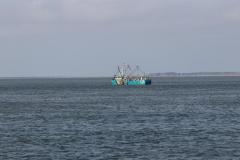 k1024_img__8ed5f8835b