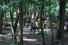K1600_IMG_5042