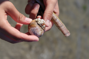 Ameland 2023 - Tag 14 - Tetris