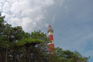 Ameland 2024 - Tag 13 - Forscher
