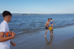 Image-7