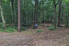 Tag6-48