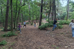 Tag6-49