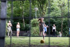 img_2550_3a1077fb3c