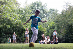 img_2565_7f658cd0bc