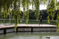 img_2905_dc72ab1556