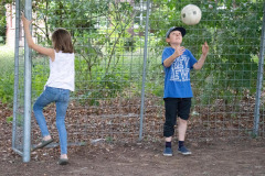 img_3155_2dbc9d31ff