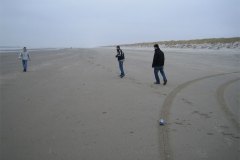 IMG_7903-01