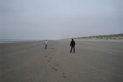 IMG_7906-01