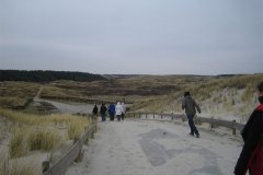 IMG_7909-01