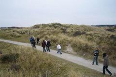 IMG_7915-01
