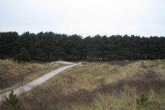 IMG_7916-01