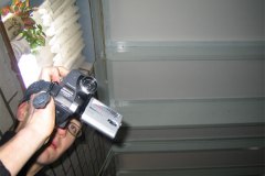 IMG_7921-01