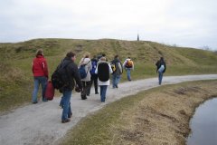 IMG_7978-01