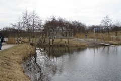 IMG_7979-01