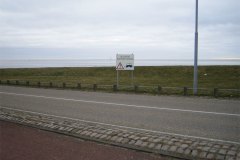 IMG_7997-01