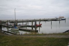 IMG_8000-01