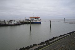 IMG_8002-01