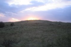 IMG_5139-01