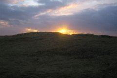IMG_5142-01
