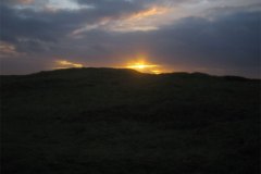 IMG_5143-01