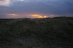 IMG_5150-01