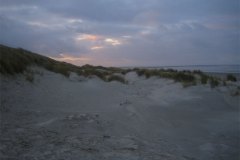 IMG_5160-01