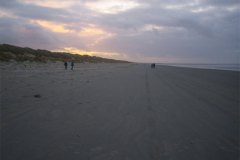 IMG_5164-01