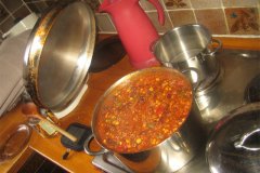 IMG_5215-01