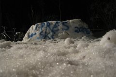 IMG_7386-01