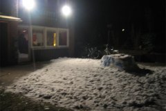 IMG_7387-01