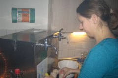 IMG_7391-01